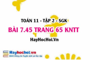Bài 7.45 trang 65 Toán 11 tập 2 Kết nối tri thức